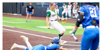 CSUSM softball falls short in national semifinal