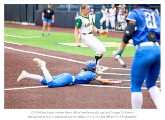 CSUSM softball falls short in national semifinal