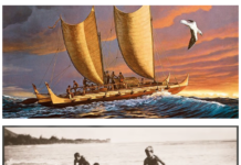California Surf Museum Inspired by the Ocean Connected by the Waves