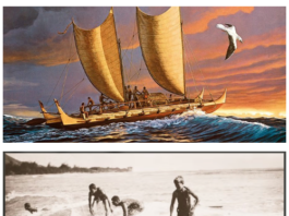 California Surf Museum Inspired by the Ocean Connected by the Waves