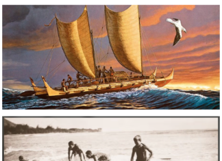 California Surf Museum Inspired by the Ocean Connected by the Waves
