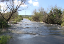 Public Health Guidance Recommended After Broken Sewage Pipe in Mexico, High Hydrogen Sulfide Emissions in Tijuana River Valley