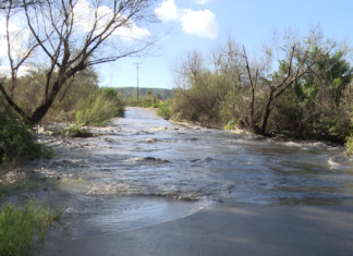 Public Health Guidance Recommended After Broken Sewage Pipe in Mexico, High Hydrogen Sulfide Emissions in Tijuana River Valley