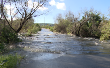 Public Health Guidance Recommended After Broken Sewage Pipe in Mexico, High Hydrogen Sulfide Emissions in Tijuana River Valley