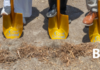 News from the City of Carlsbad Veterans Memorial Park and More