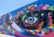 Renowned Spray Paint Artist Brings His Unique Talent to Vista