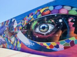 Renowned Spray Paint Artist Brings His Unique Talent to Vista