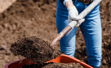 City of Vista News Headlines Mulch/Compost Giveaway and More
