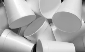 Share Your Feedback: Proposed Styrofoam Ban Expansion
