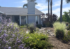 Pollinator Paradise Wins 2026 Oceanside Landscape Makeover Contest