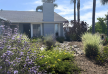Pollinator Paradise Wins 2026 Oceanside Landscape Makeover Contest