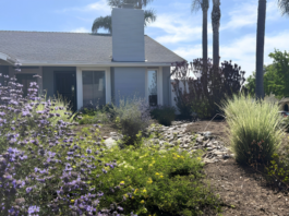Pollinator Paradise Wins 2026 Oceanside Landscape Makeover Contest