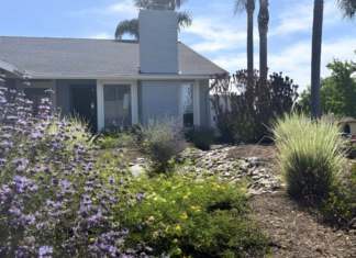 Pollinator Paradise Wins 2026 Oceanside Landscape Makeover Contest