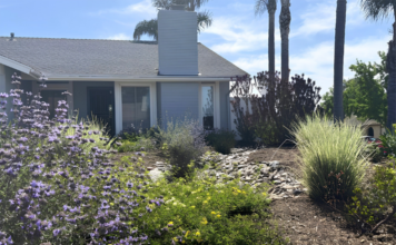 Pollinator Paradise Wins 2026 Oceanside Landscape Makeover Contest