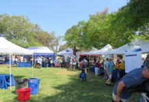 Hundreds Find Out About Fire Prevention and Earthquake Safety at Gas & Steam Engine Museum Community Park