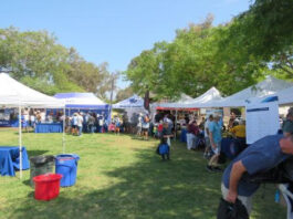Hundreds Find Out About Fire Prevention and Earthquake Safety at Gas & Steam Engine Museum Community Park