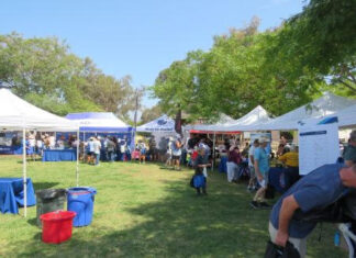 Hundreds Find Out About Fire Prevention and Earthquake Safety at Gas & Steam Engine Museum Community Park