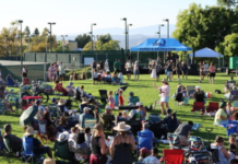Free Concert In the Park