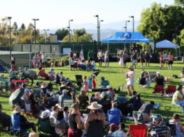 Free Concert In the Park