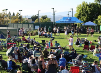 Free Concert In the Park