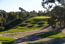 The Grass League Returns to Oceanside’s Goat Hill Park for Summer Grind Labor Day Weekend