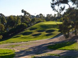 The Grass League Returns to Oceanside’s Goat Hill Park for Summer Grind Labor Day Weekend
