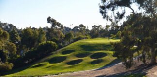 The Grass League Returns to Oceanside’s Goat Hill Park for Summer Grind Labor Day Weekend
