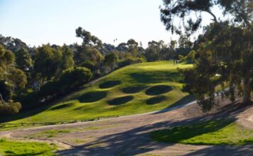 The Grass League Returns to Oceanside’s Goat Hill Park for Summer Grind Labor Day Weekend