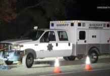 Discovered Human Remains – Palomar Mountain