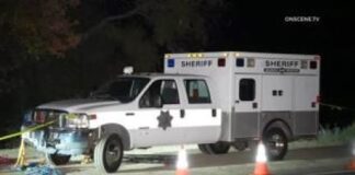 Discovered Human Remains – Palomar Mountain