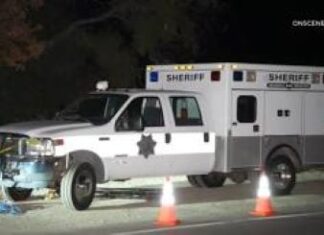 Discovered Human Remains – Palomar Mountain