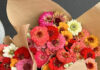 State Street Farmers Market Fresh Flowers for $5? Yes, Please!