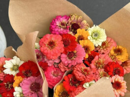 State Street Farmers Market Fresh Flowers for $5? Yes, Please!