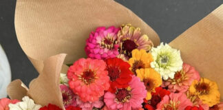 State Street Farmers Market Fresh Flowers for $5? Yes, Please!