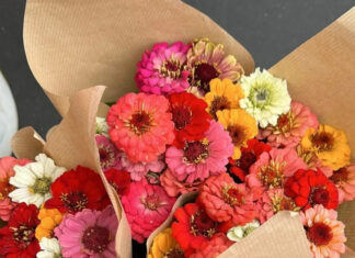 State Street Farmers Market Fresh Flowers for $5? Yes, Please!