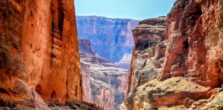 Dwindling Colorado River Creates Water, Power Challenges for the Western US