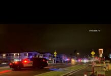 City of Carlsbad Police Department Arrest Made in Fatal Traffic Collision