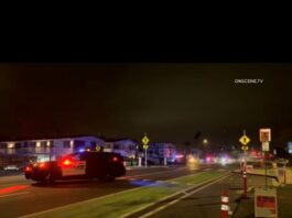 City of Carlsbad Police Department Arrest Made in Fatal Traffic Collision