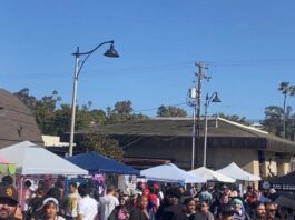 Historic Vista was the Epicenter for K-pop Anime Fest 2026