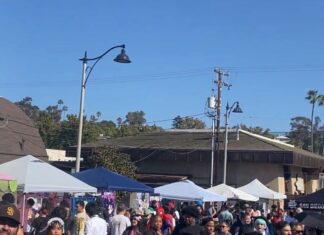 Historic Vista was the Epicenter for K-pop Anime Fest 2026