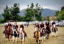 The 20th Annual Horse Heritage Festival Brings History, Horses, and Community Together