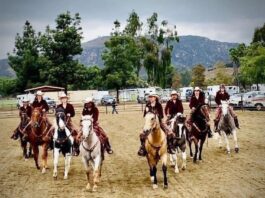 The 20th Annual Horse Heritage Festival Brings History, Horses, and Community Together