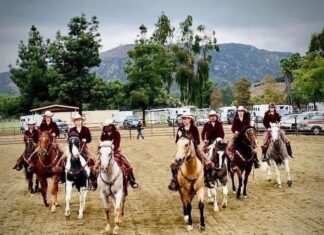 The 20th Annual Horse Heritage Festival Brings History, Horses, and Community Together