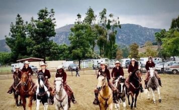 The 20th Annual Horse Heritage Festival Brings History, Horses, and Community Together