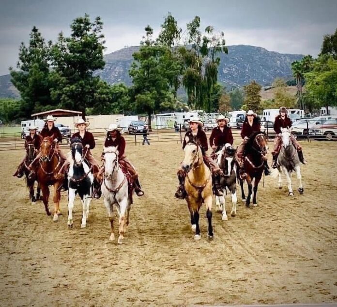 Image 1 Horse