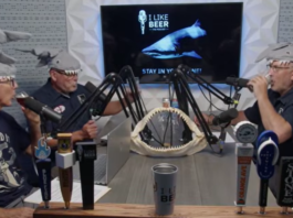 I Like Beer : Shark Beer Week: The Sharks in Our Backyard PODCAST