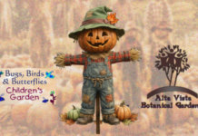 Welcome to the Fall Fun Festival on October 10th!