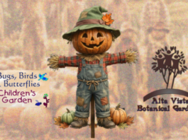 Welcome to the Fall Fun Festival on October 10th!
