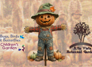 Welcome to the Fall Fun Festival on October 10th!