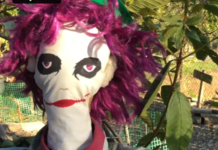IT’S SCARECROW TIME! Fall Fun Festival on October 10, 2026